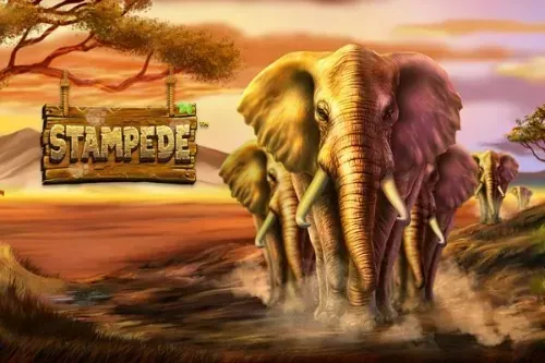 Stampede slot
