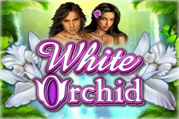 White Orchid slot