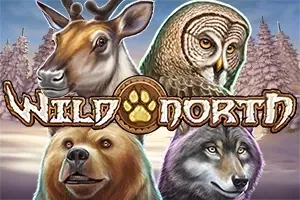 Wild North slot